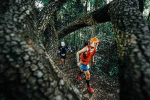 BIB: 
                            <button type="button" onclick="openModal(25392022)" class="btn btn-primary btn-sm float-right btn-popup" data-toggle="modal" data-target=".modal-high-quality">
                        <i class="fas fa-shopping-cart"></i> Add to Cart
                    </button>
                                            <button type="button" onclick="isThisMe(25392022, true)" class="btn btn-success btn-sm float-right btn-popup btn-isme hidden" data-toggle="tooltip" data-placement="bottom" title="นี่คือรูปของคุณใช่ไหม คลิกที่นี่เพื่อเอาเข้าอัลบั้ม">
                        <i class="fas fa-plus"></i> Add to album
                    </button>
                    <button type="button" onclick="isThisMe(25392022, false)" class="btn btn-warning btn-sm float-right btn-popup btn-isnotme hidden">
                        <i class="fas fa-ban"></i> Remove from album
                    </button>